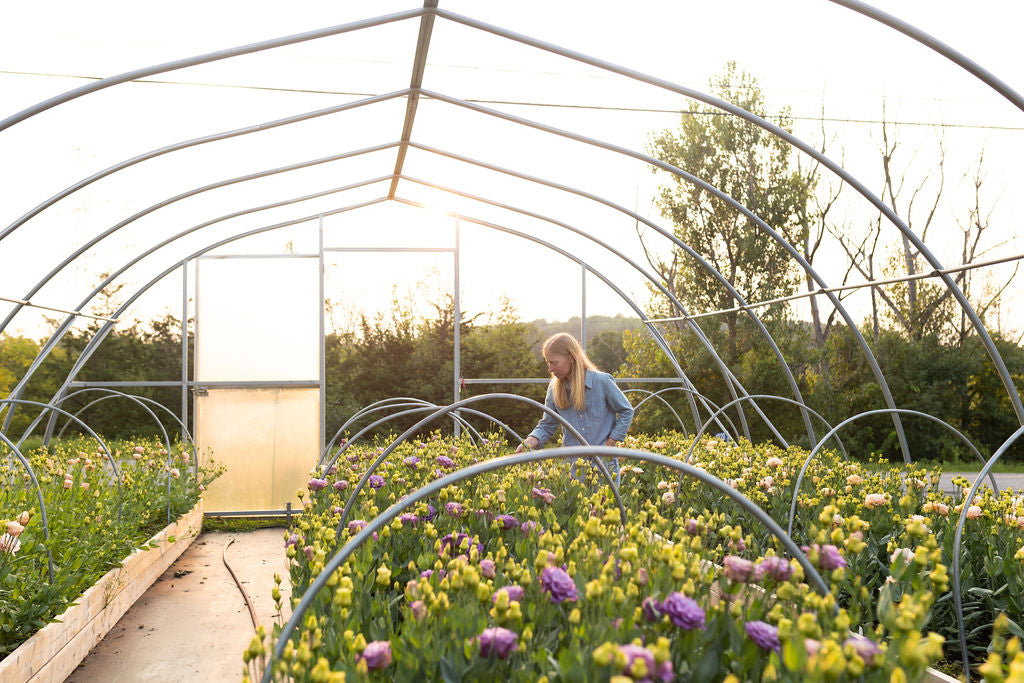 A Guide to Canadian Seed Growers & Sellers