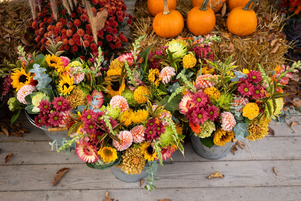 Fresh Flowers for Pickup and Delivery