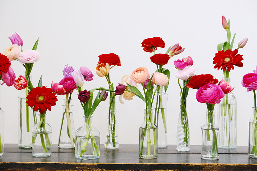 Bud Vase Collections