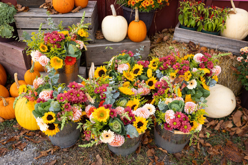 A fall display with flower arrangements featuring sunflowers, dahlias, mums, gerber daisies, ornamental cabbage.