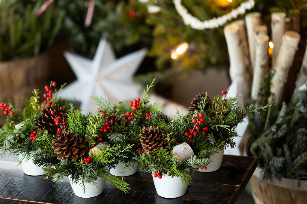 Close up of five winter arrangements of greens, red berries, pinecones and birch pieces in white ceramic pots.