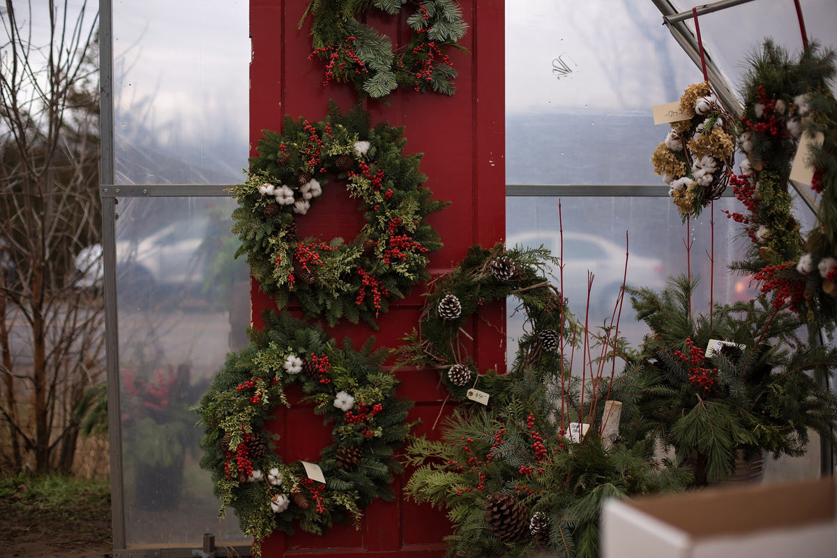 A red door featuring a variety of wreaths made with greenery, red berries, cotton and pinecones.
