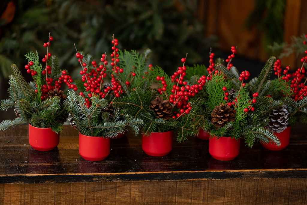 Holiday Cheer Arrangement
