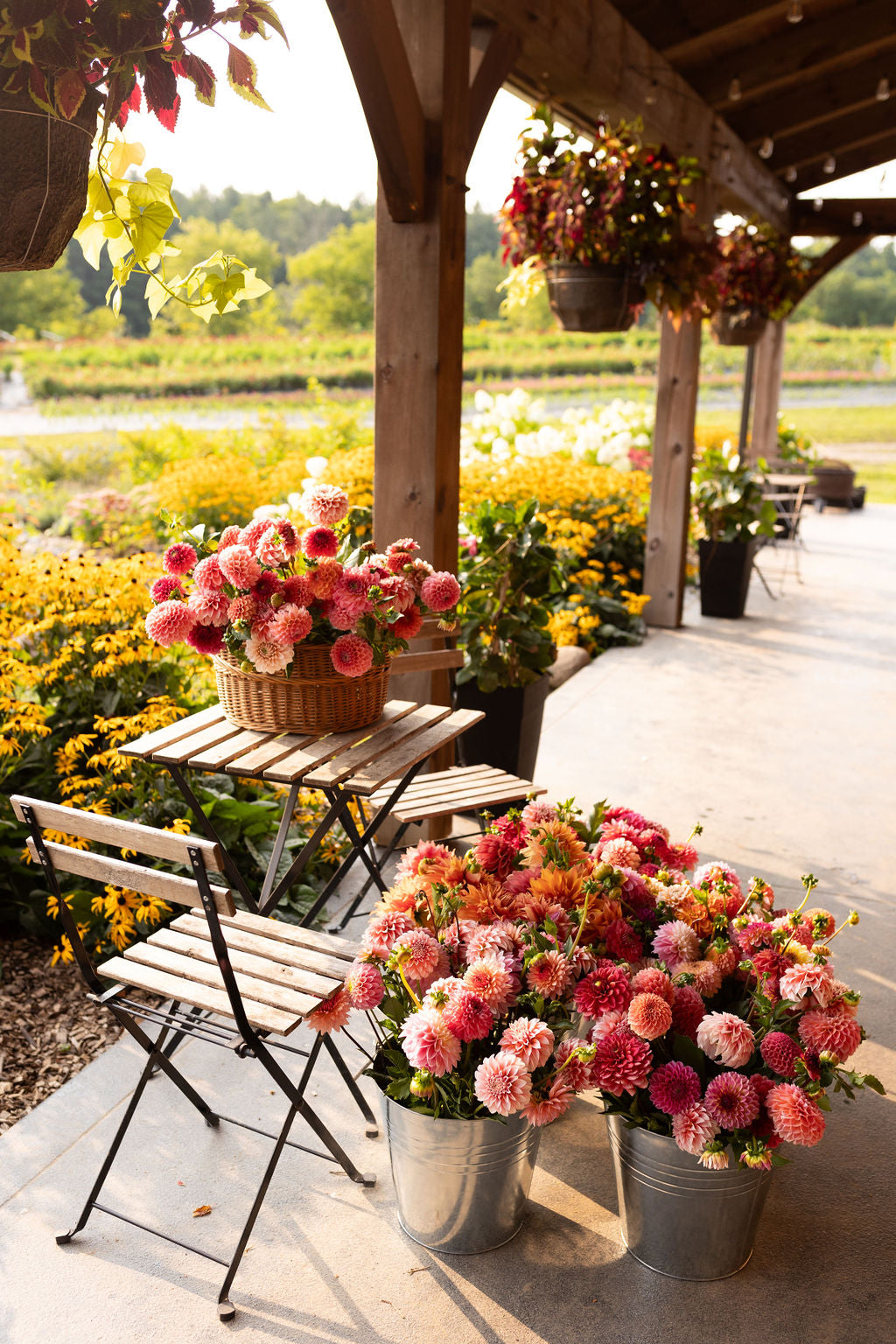 Close-up of a wooden cafe table with a basket of fresh flowers. Metal buckets with dahlias are on the ground beside it.