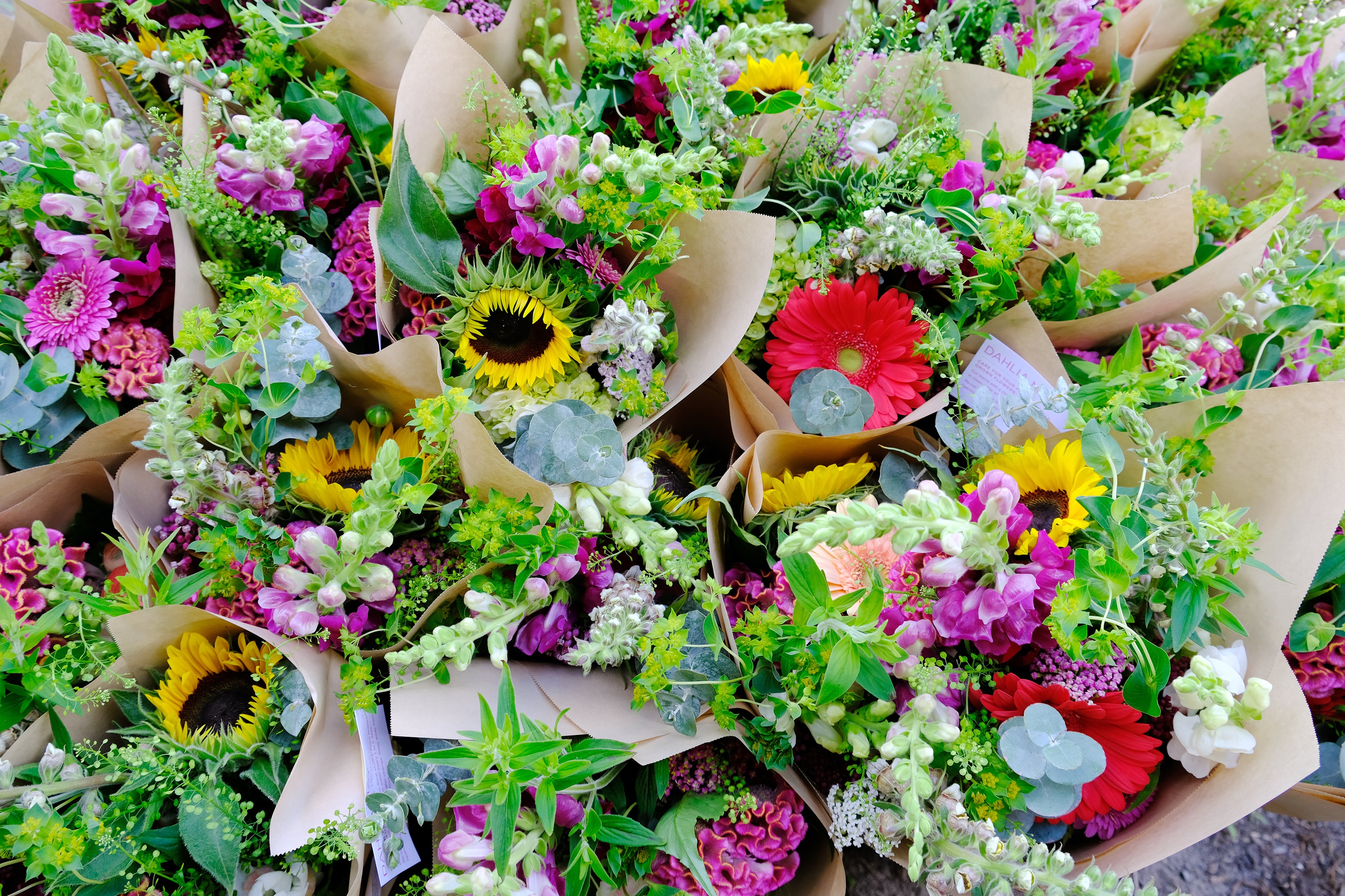 Summer bouquets in purples, yellows and greens.