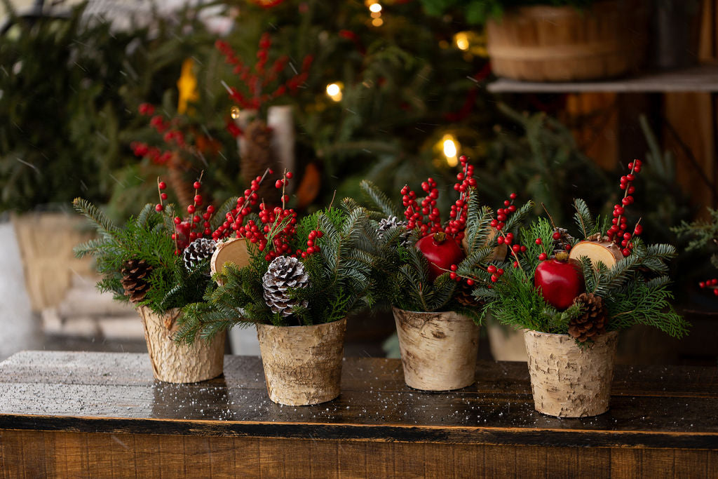 Small Holiday Arrangement