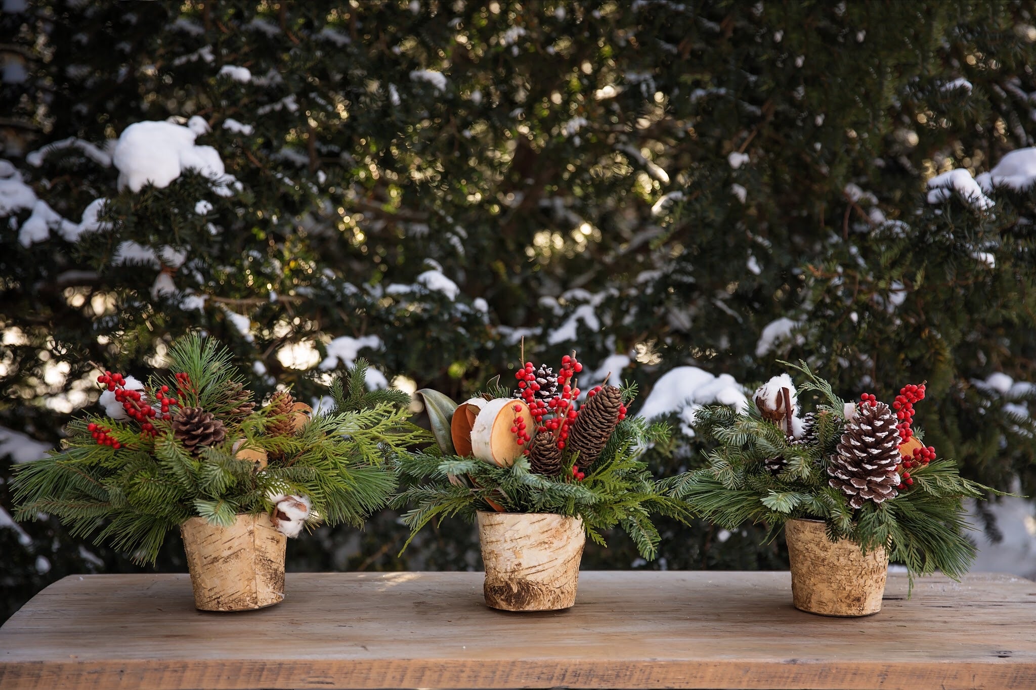 Small Holiday Arrangement