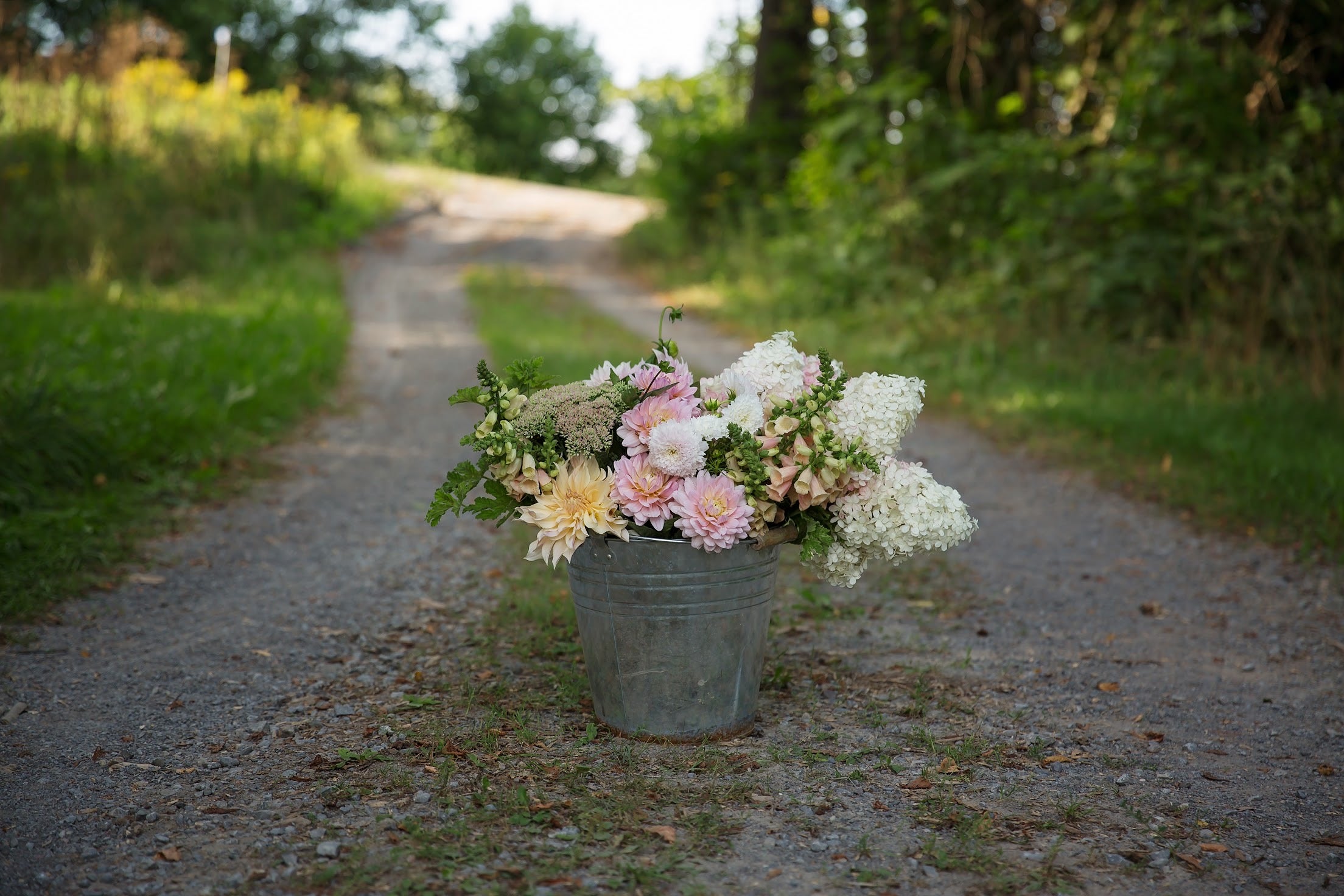 Bulk DIY Bucket of Blooms: Custom Colour Palette