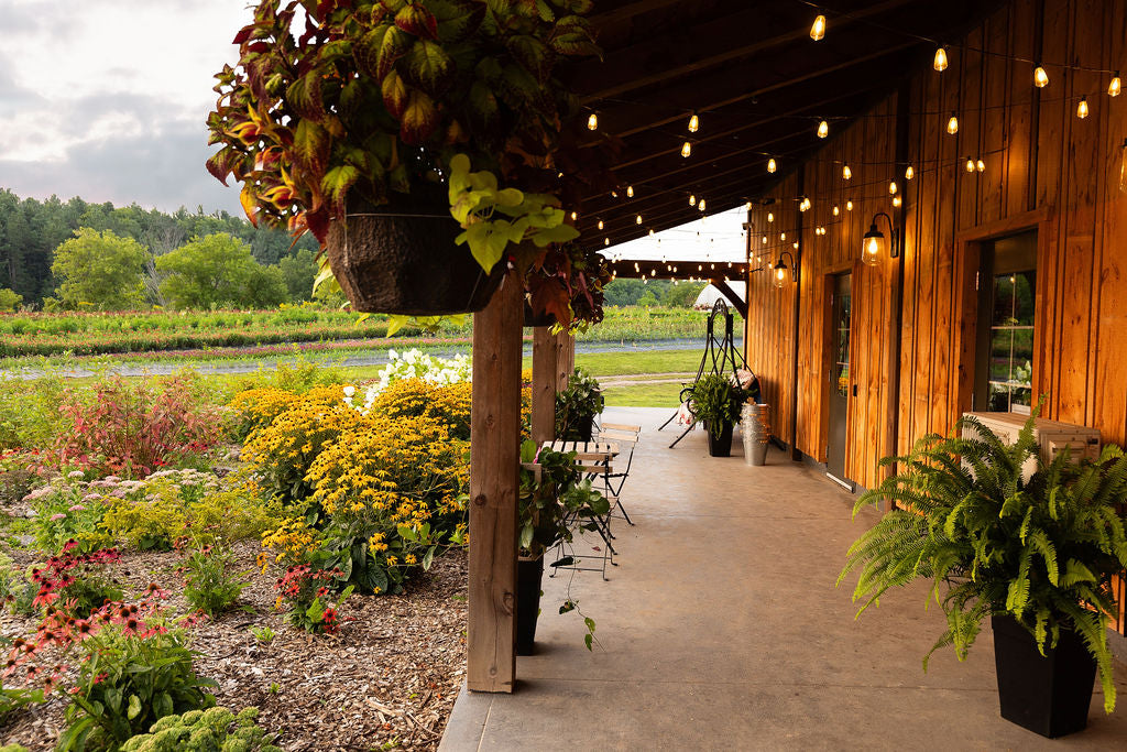 Close-up shot of verandah on the barn, potted plants are on the verandah and flower baskets hang from the roof.