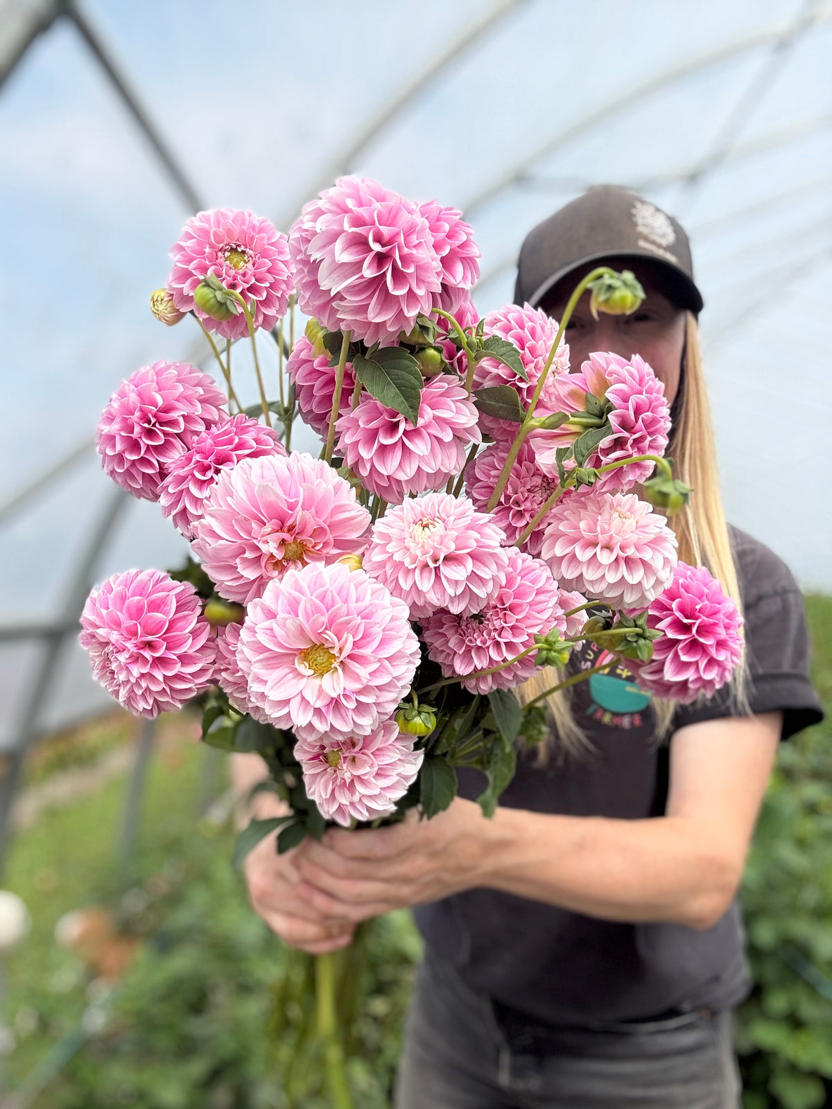Opal Dahlia Tuber - *Product NOT sold out* SALES START SUNDAY MARCH 1ST AT 4PM