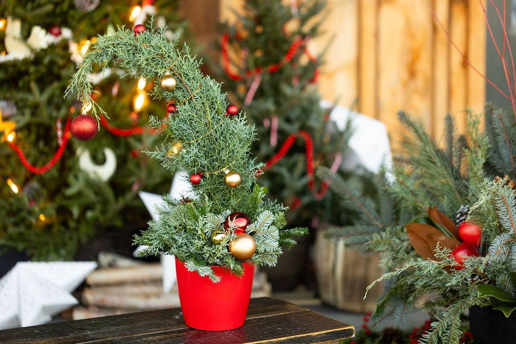 Grinch Tree Arrangement