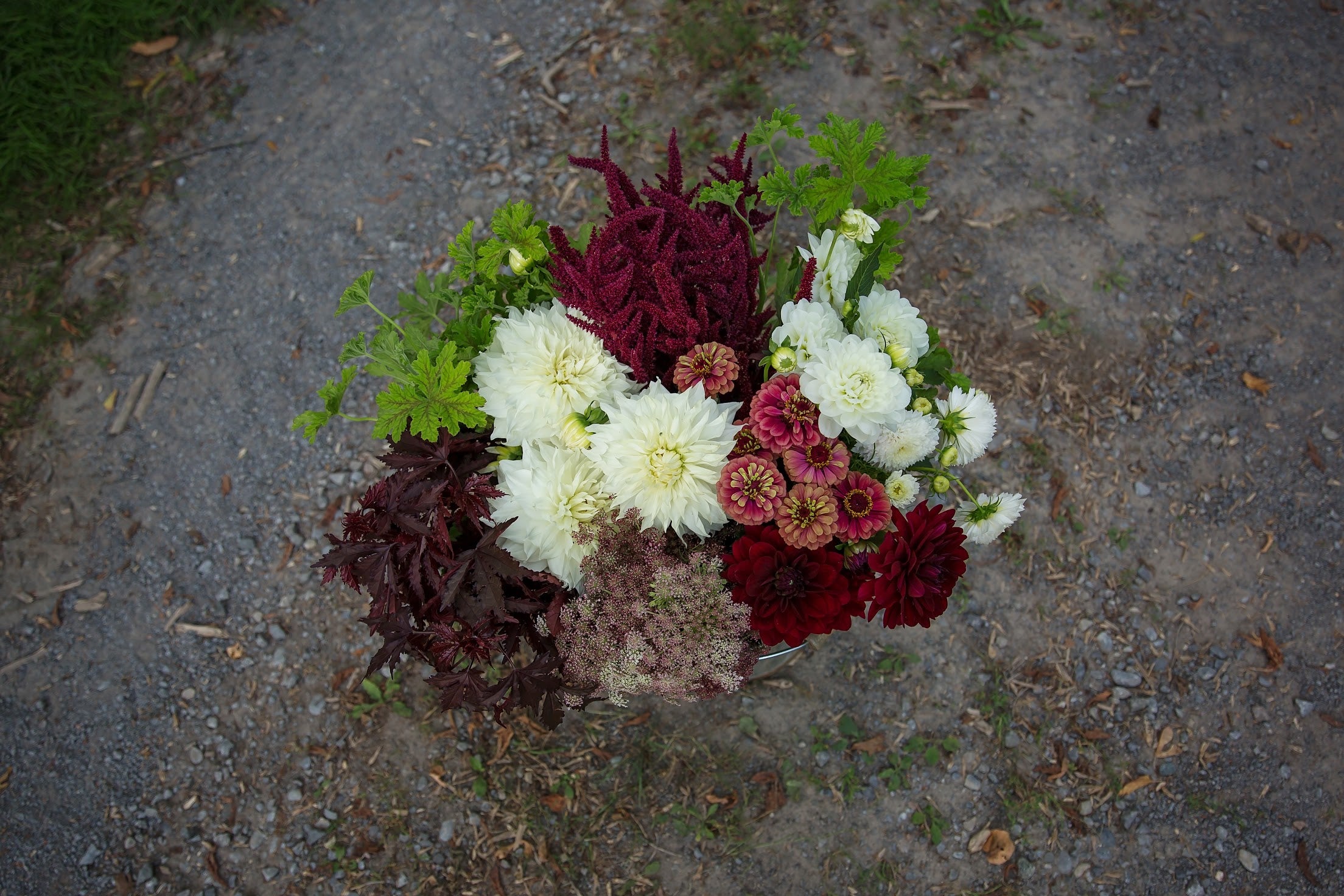 Bulk DIY Bucket of Blooms: Custom Colour Palette