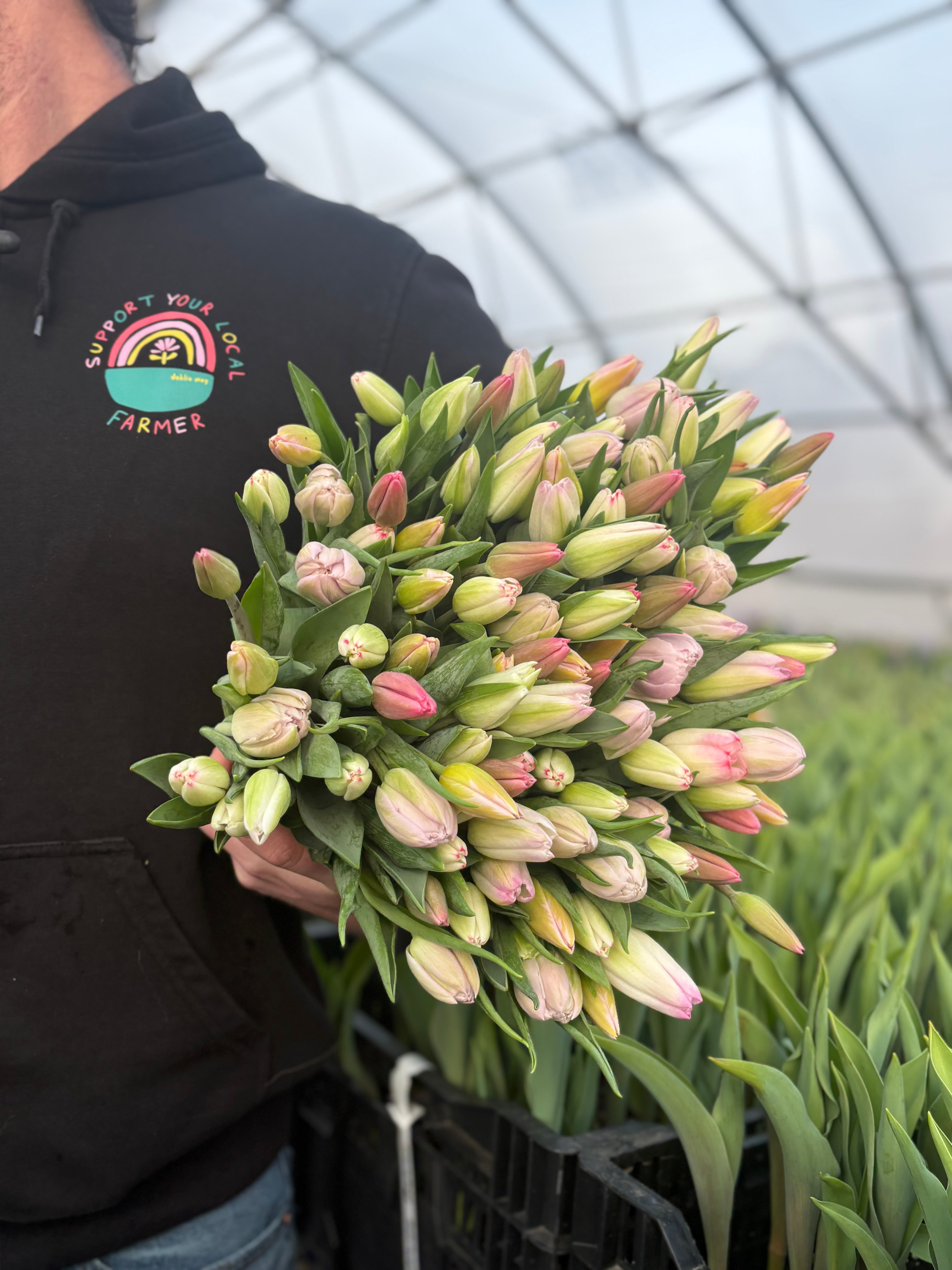 International Women's Day FLASH SALE Tulip Bunch FOR DELIVERY