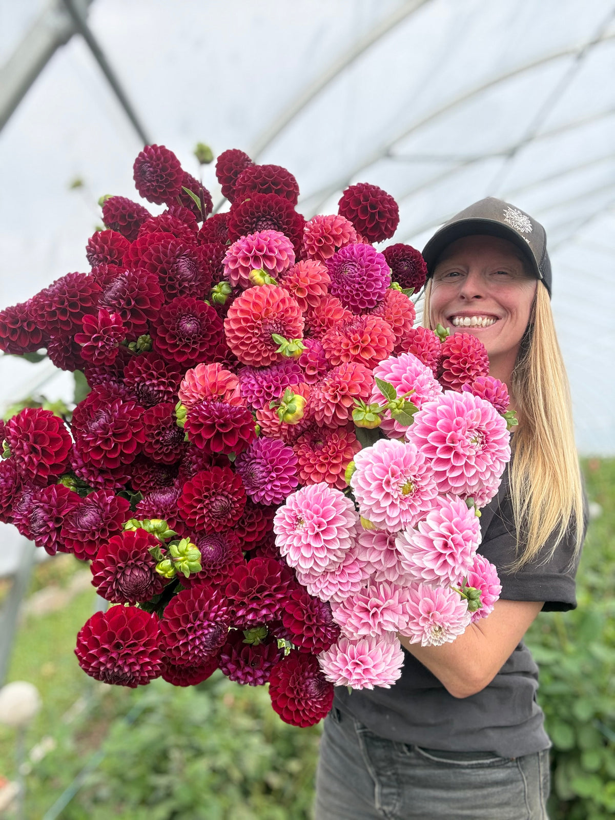 Ivanetti Dahlia Tuber - *Product NOT sold out* SALES START SUNDAY MARCH 1ST AT 4PM