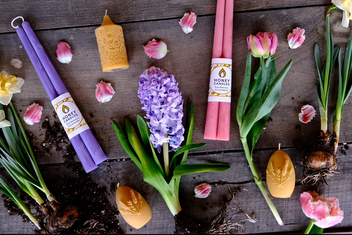 Natural Beeswax Lavender Egg Candle