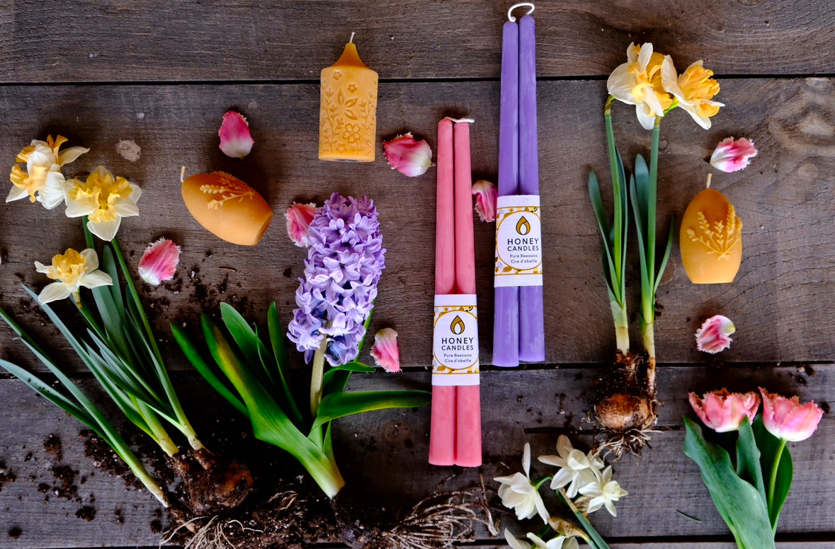 12 Inch Paris Pink Beeswax Taper Candle Pair-2 Candles