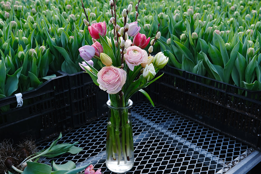 Small Vase Arrangement