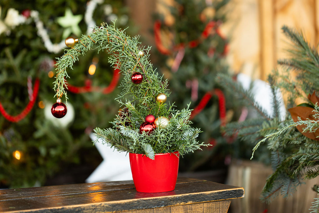 Grinch Tree Arrangement