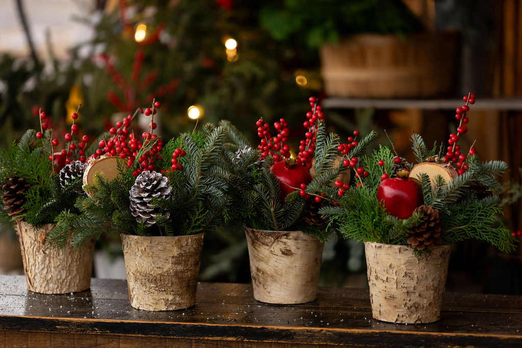 Small Holiday Arrangement