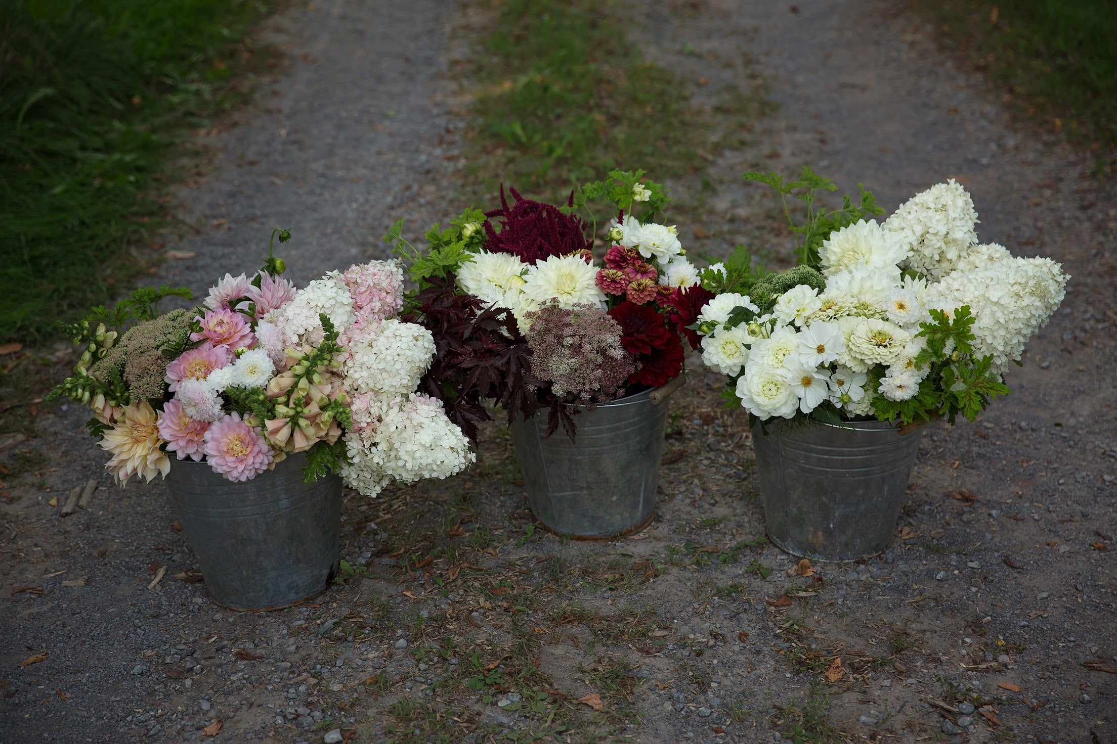 Bulk DIY Bucket of Blooms: Custom Colour Palette