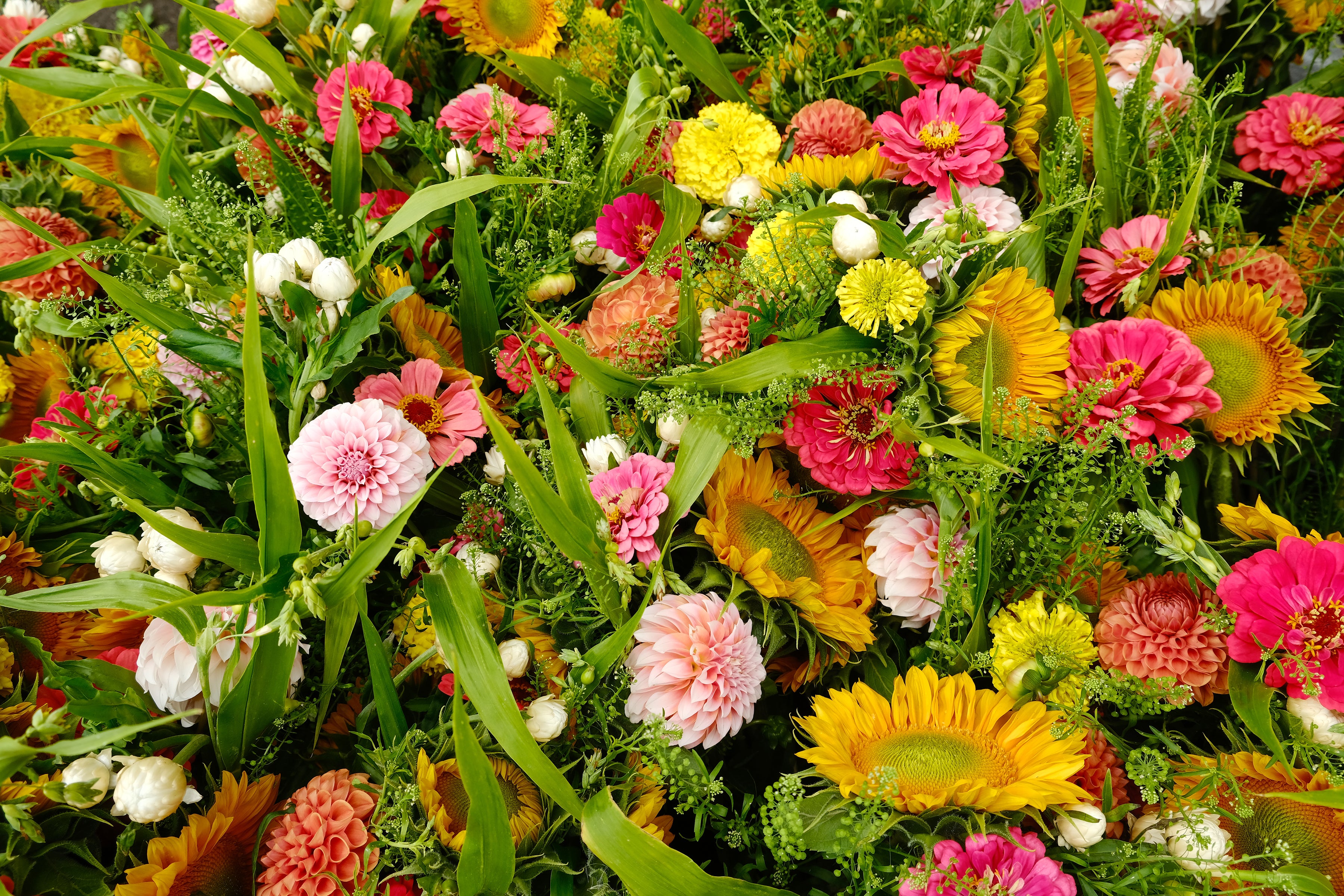 Bouquets featuring sunflowers, dahlias, zinnias and fall greens.