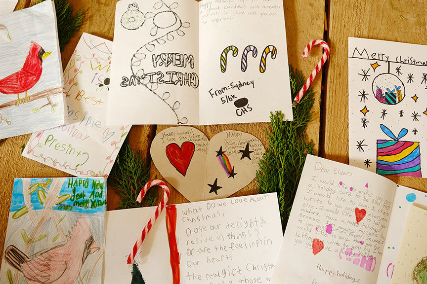 Sponsor a plant for a resident in Long Term Care: Our Community Christmas Gifting Program