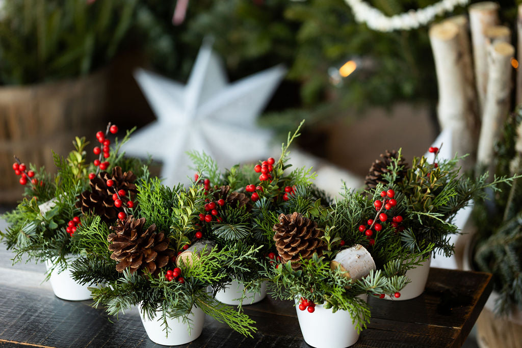 Close up of five winter arrangments of greens, red berreies, pinecones and birch pieces in white ceramic pots.