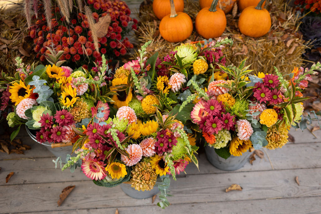 A display of mixed bouquets in metal buckets featuring gerbera daisies, mums, sunflowers and dahlias.