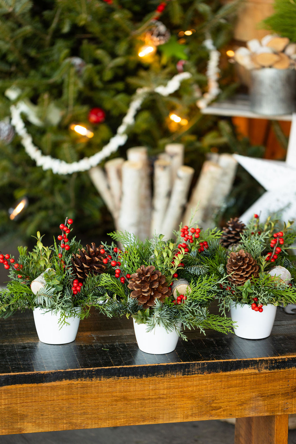 Holiday Cheer Arrangement