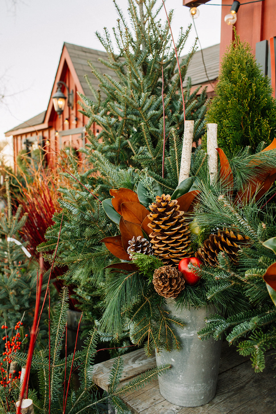 Close-up of a metal sap bucket filled with greens, pinecones, fruit and birch poles.