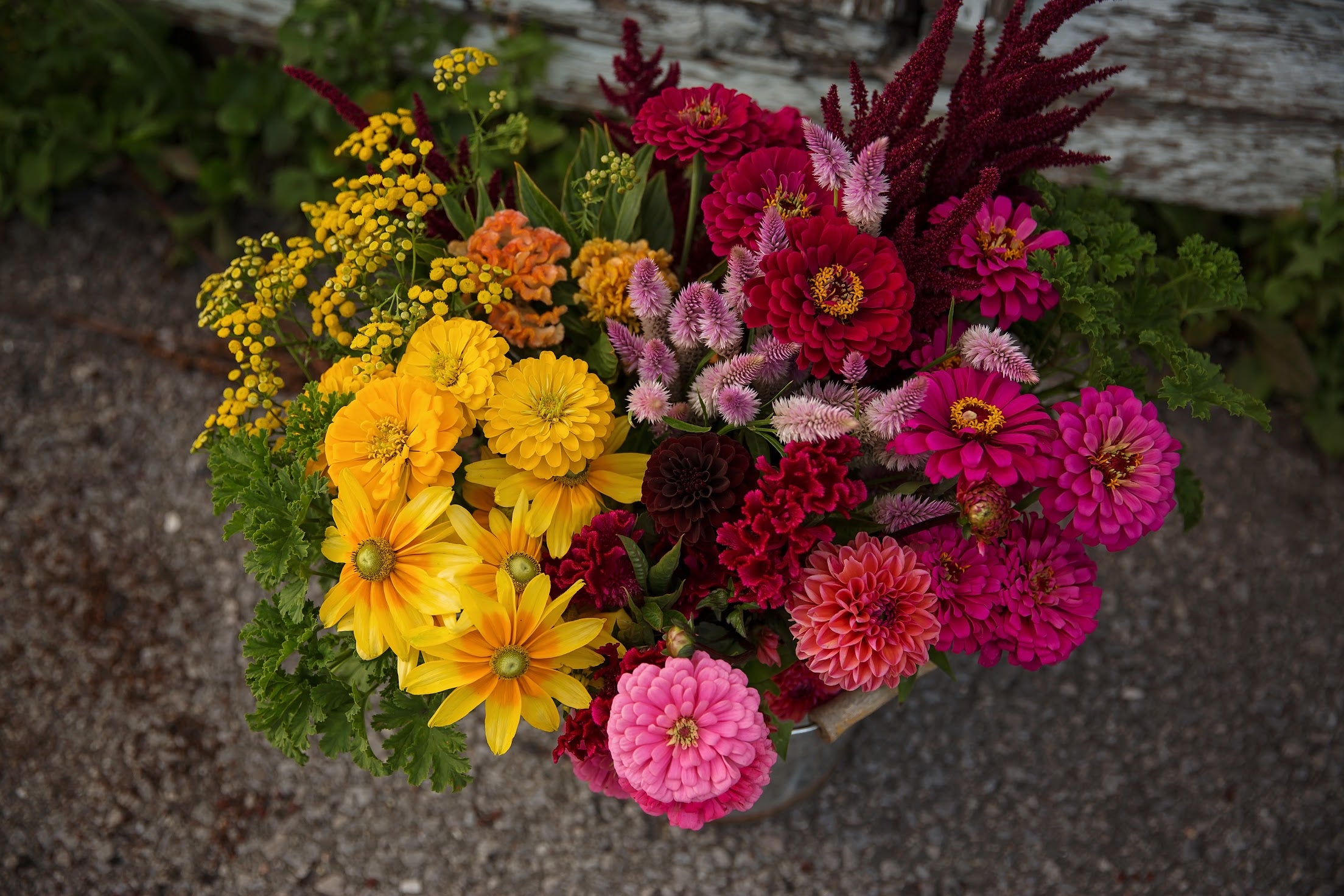 Bulk DIY Bucket of Blooms: Growers Choice Colour Palette