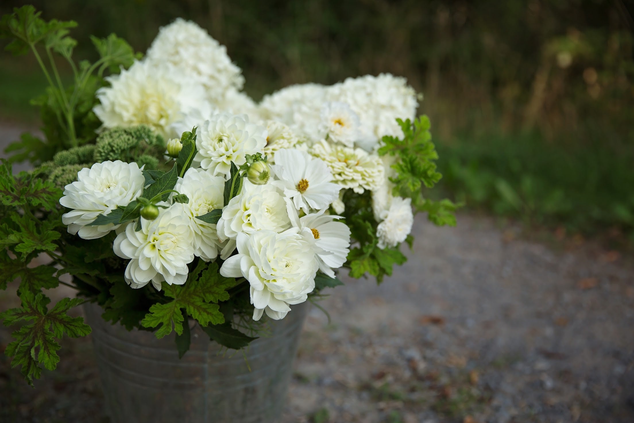 Bulk DIY Bucket of Blooms: Custom Colour Palette