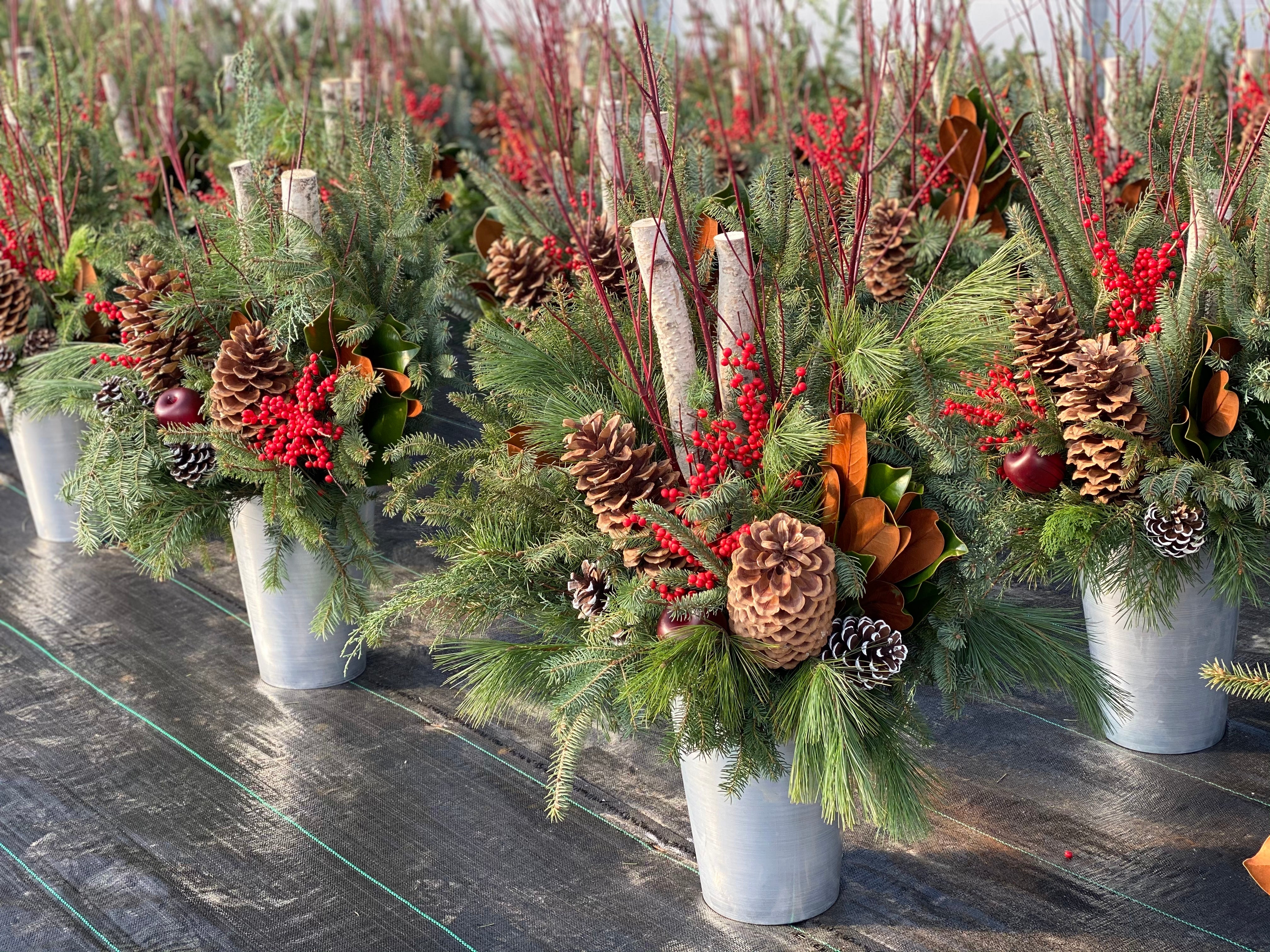 Winter planters sit on the floor of a greenhouse.