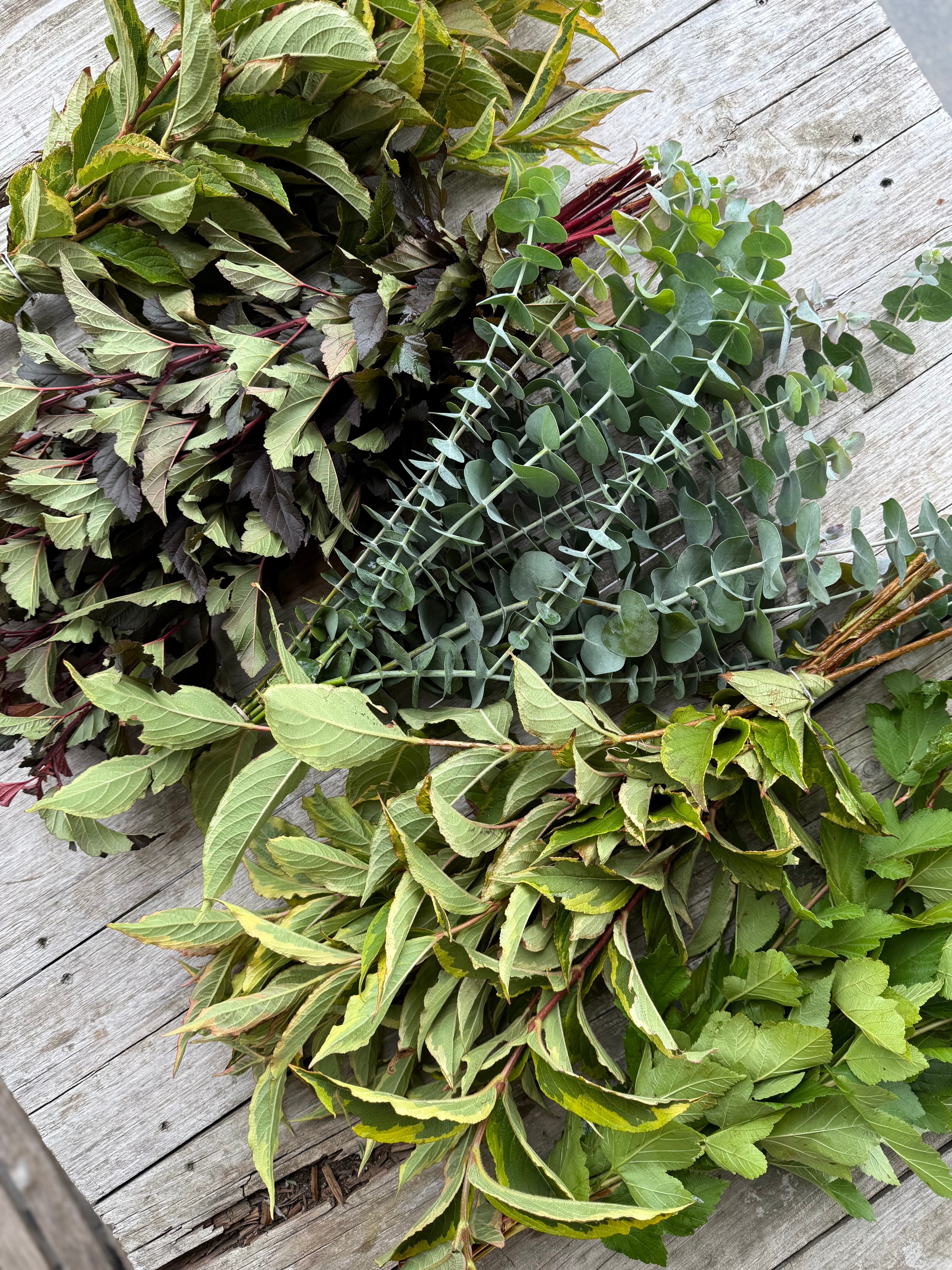 Bulk DIY FOLIAGE BUCKET-50 Stems