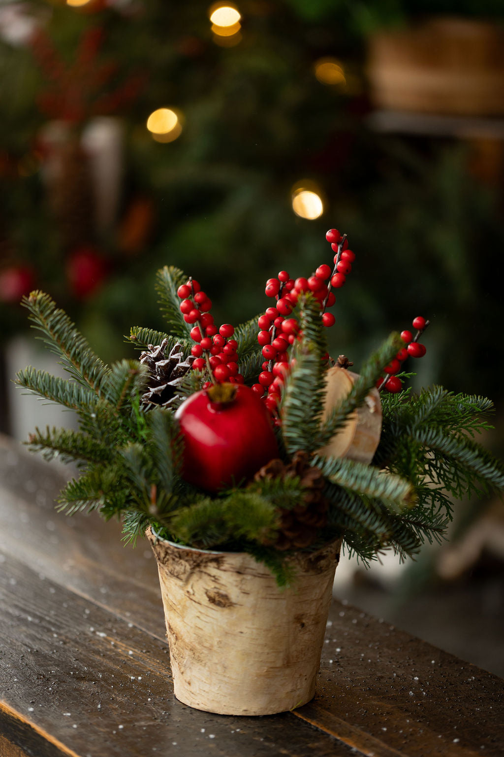 Small Holiday Arrangement