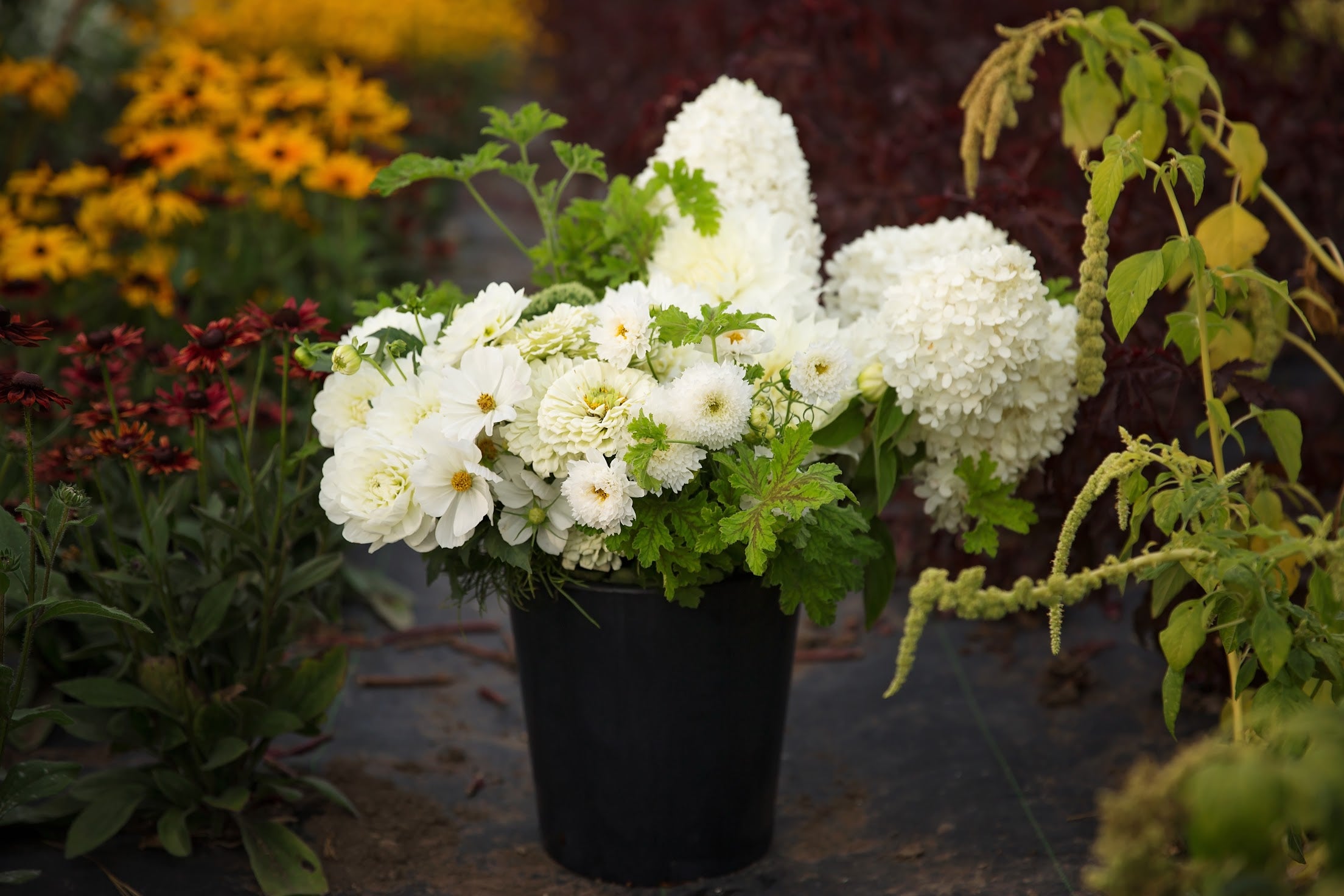 Bulk DIY Bucket of Blooms: Custom Colour Palette