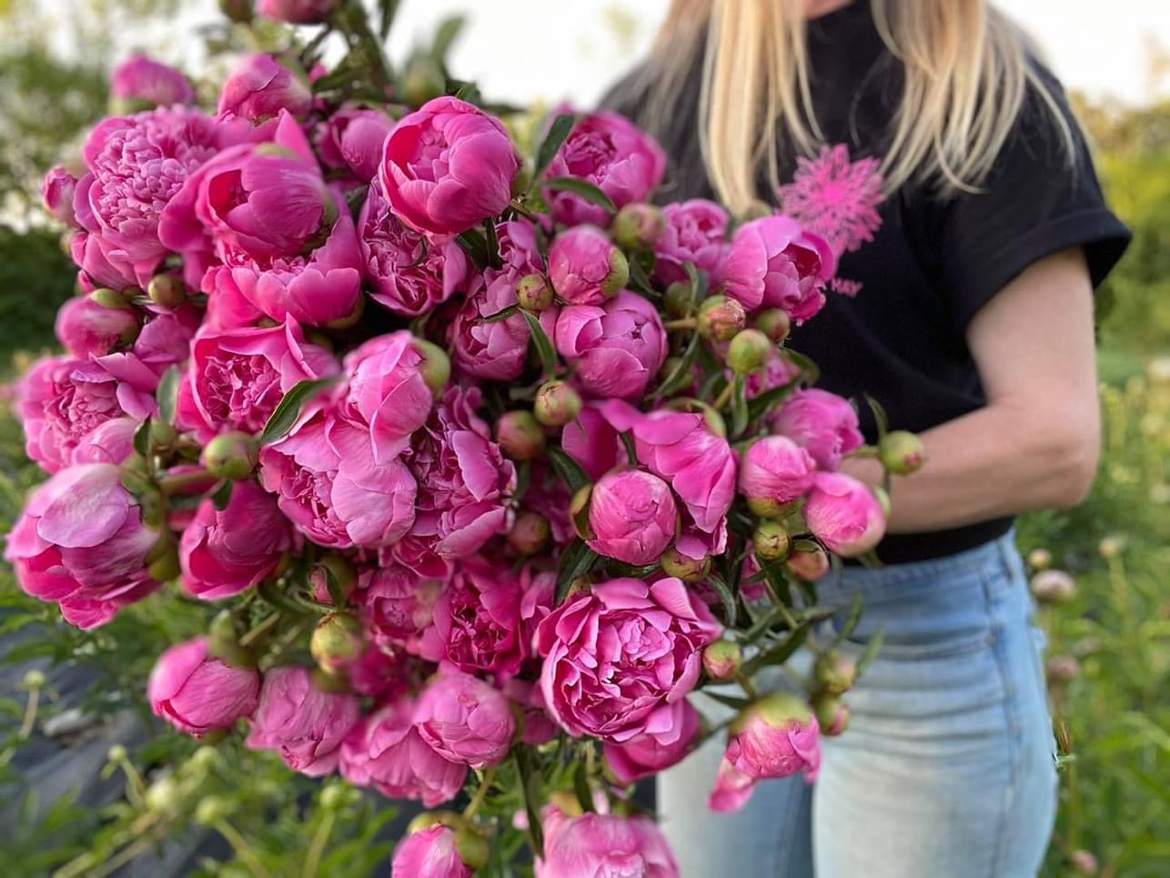 Bulk Bucket of Peonies