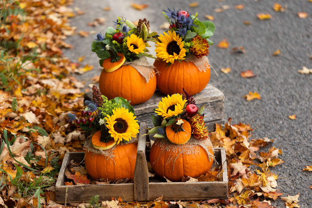 Pumpkin Centrepiece