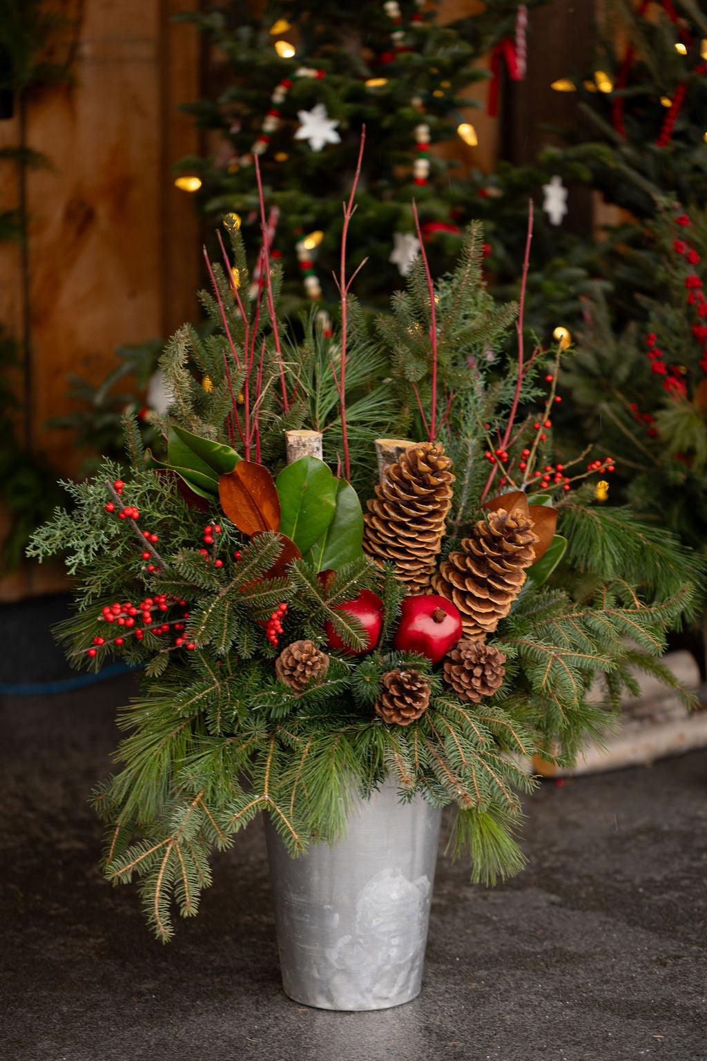 December Holiday Package -2025