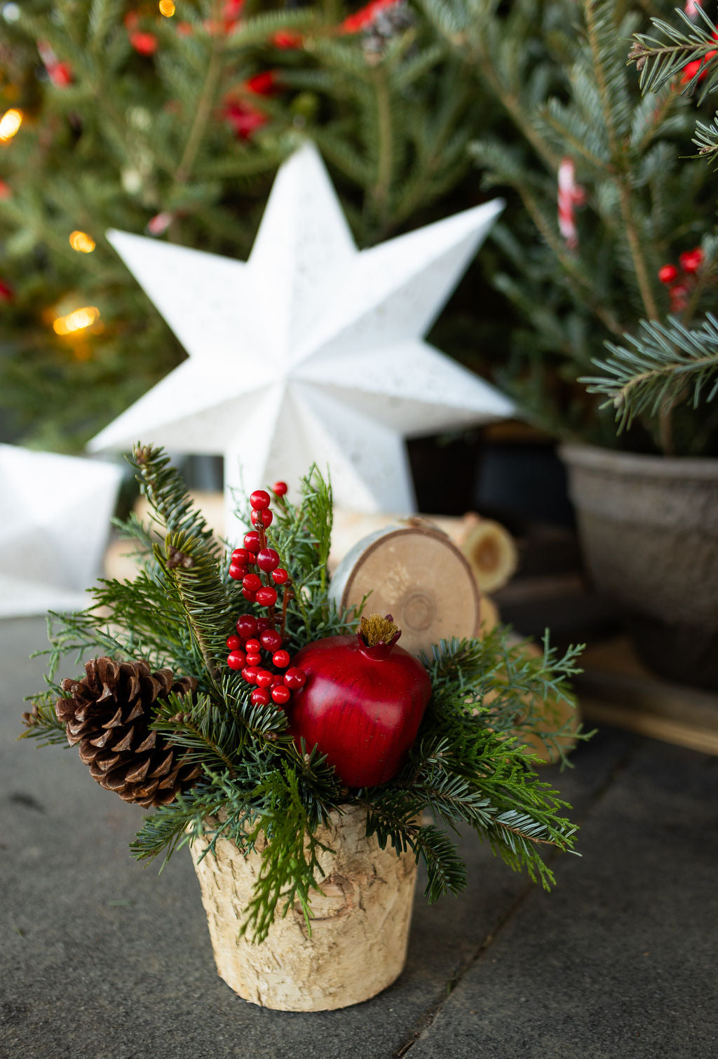 Small Holiday Arrangement