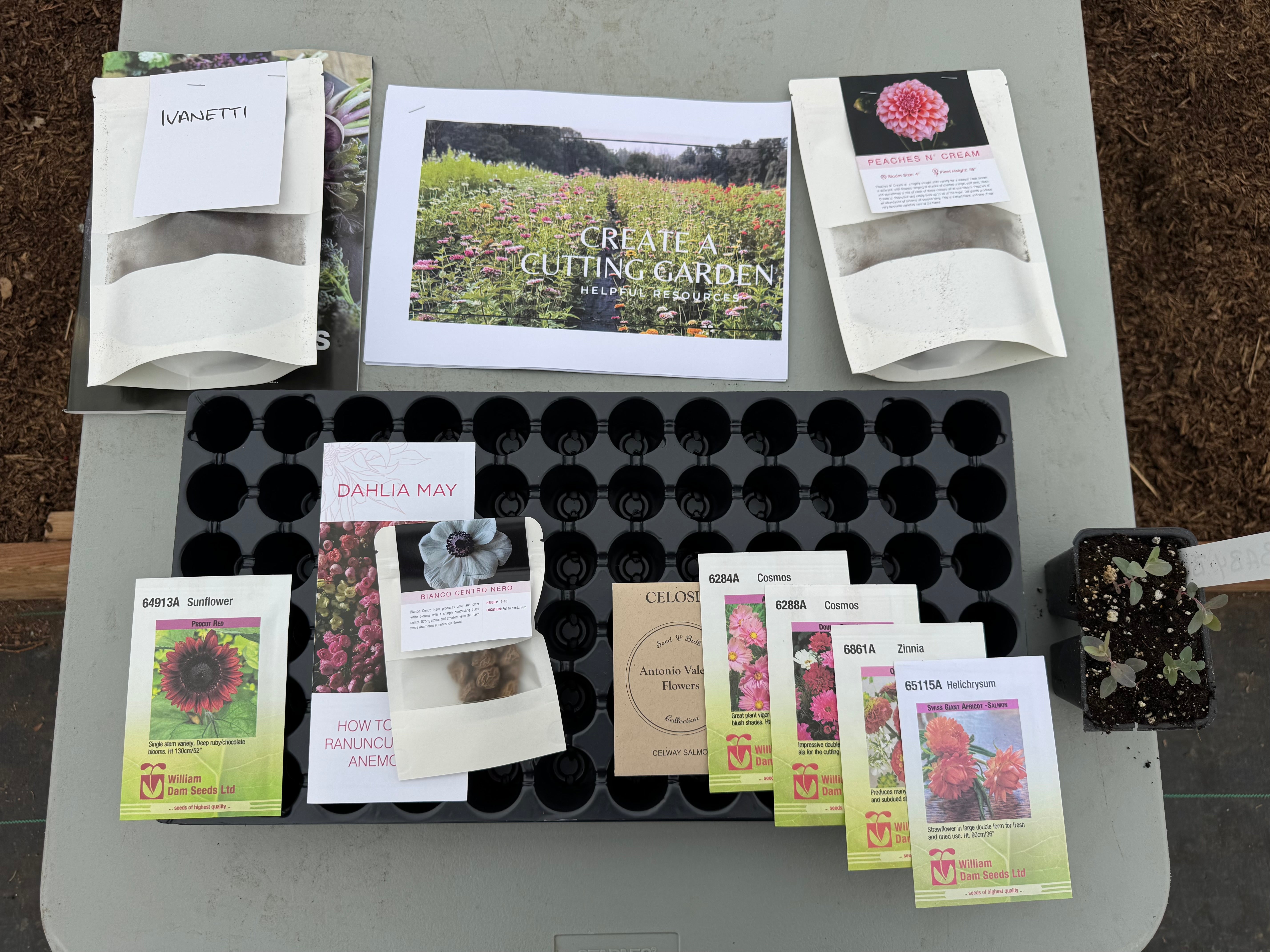 A display of seeds, dahlia tuber, growers starting pots and growing instructions.