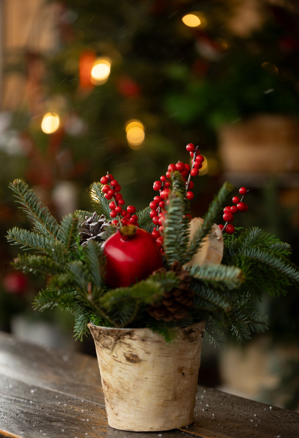 Small Holiday Arrangement