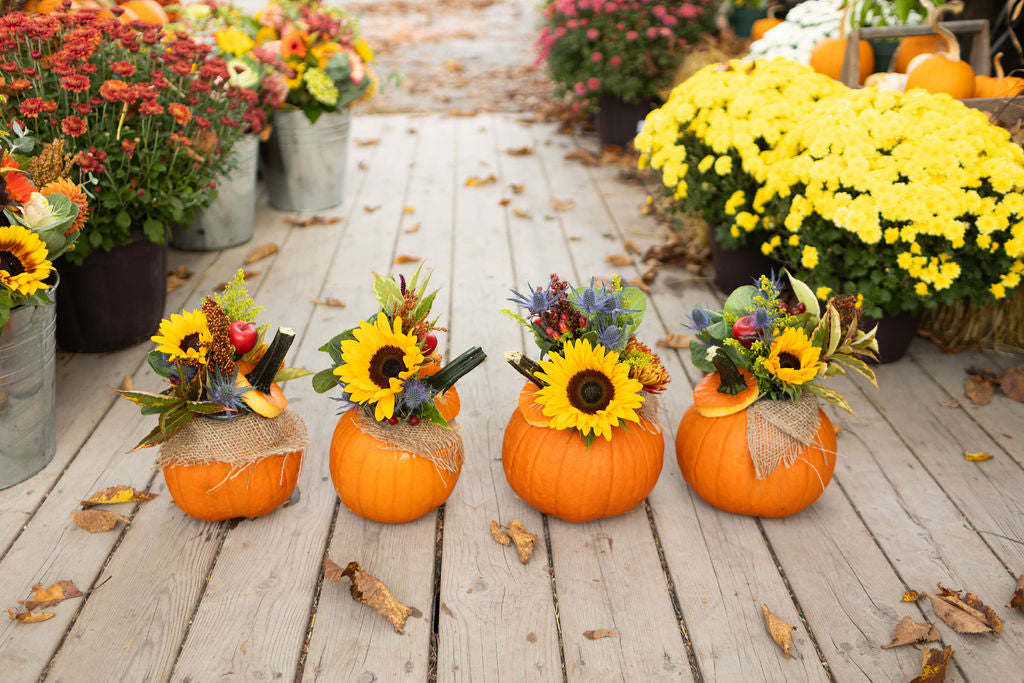 Pumpkin Centrepiece