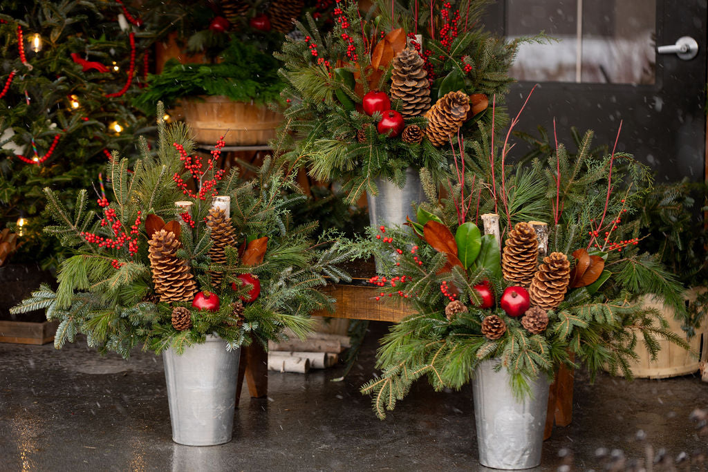 Winter Planter PREORDERS