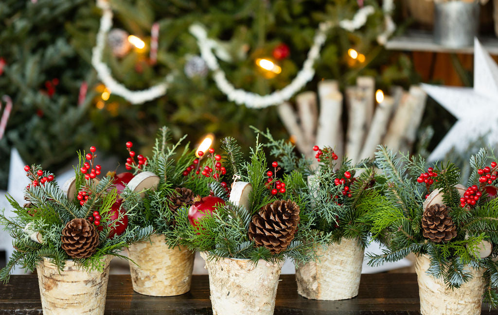 Small Holiday Arrangement