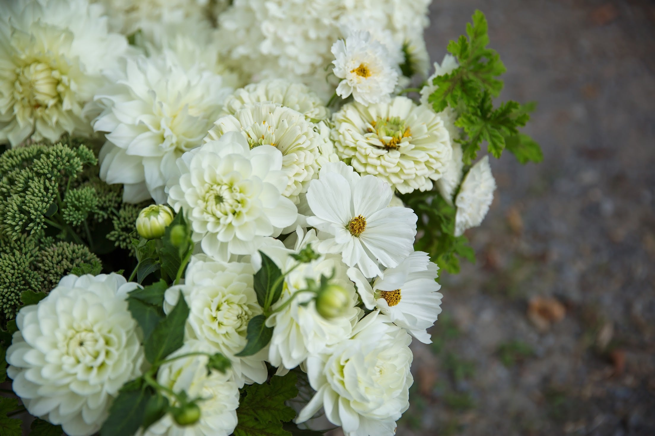 Bulk DIY Bucket of Blooms: Custom Colour Palette