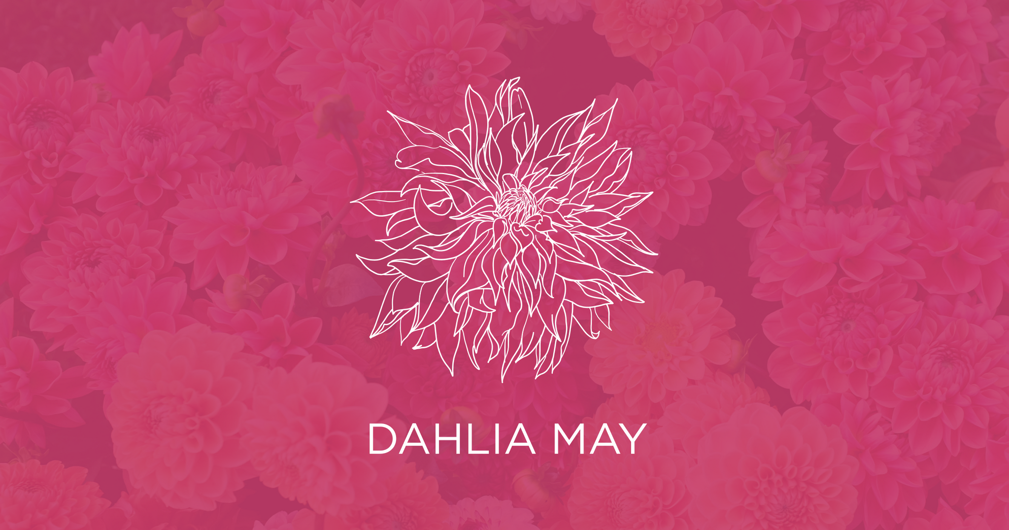 www.dahliamayflowerfarm.com