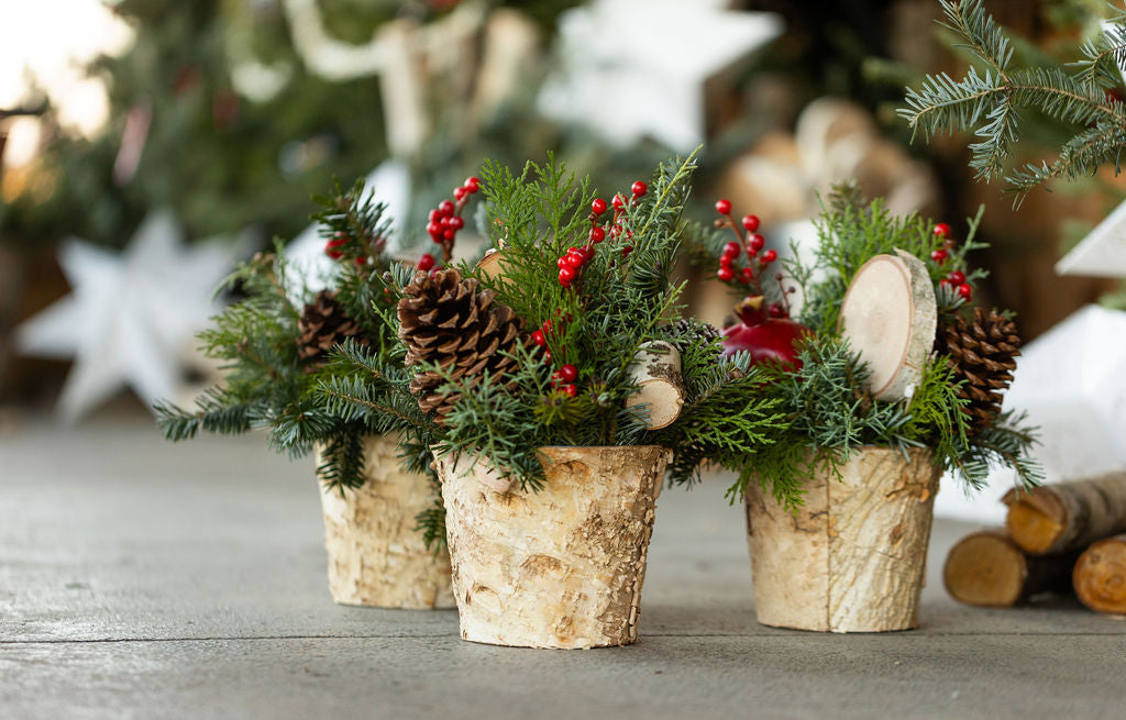 Small Holiday Arrangement
