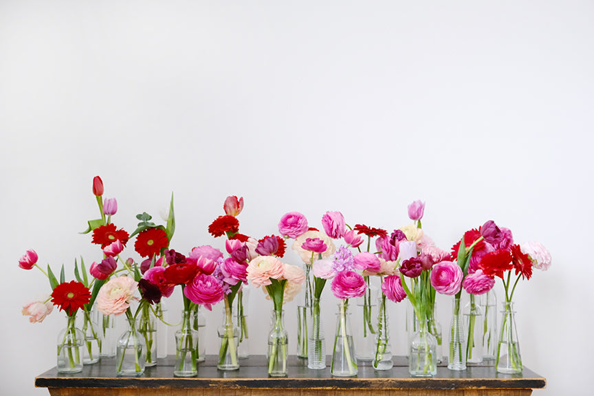 Bud Vase Collections