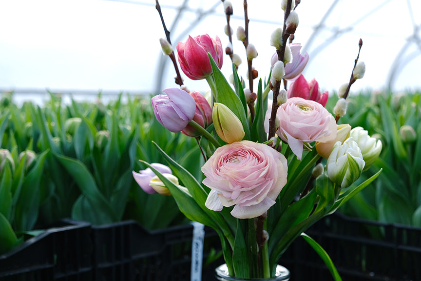 Small Vase Arrangement